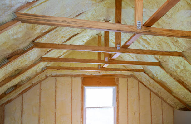 Best Residential Insulation in Denmark, SC