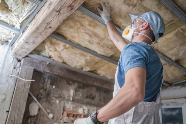 Best Insulation Installation Services in Denmark, SC