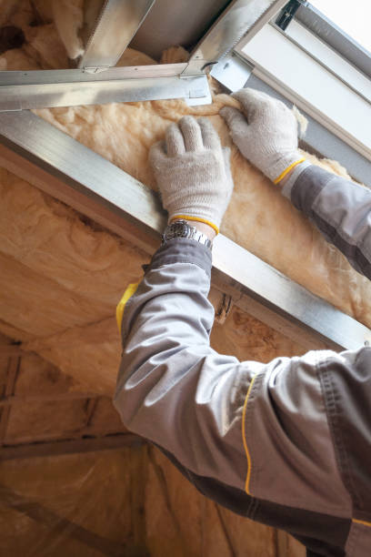 Best Insulation for Specific Applications in Denmark, SC