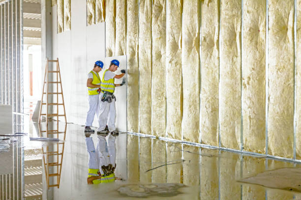 Best Types of Insulation in Denmark, SC